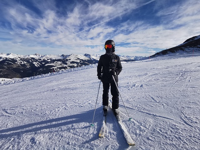 Svenske skisportssteder i Dalarna og Jämtland med fokus på økonomi